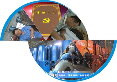 陜西德力能源科技有限責任公司范德力鍋爐